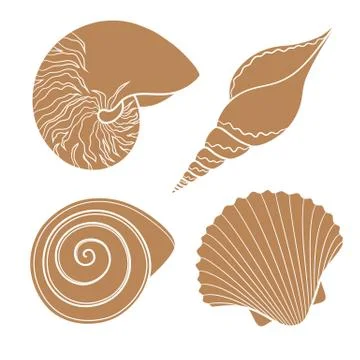 Set of graphic sea shells. Vector illustration. Isolated objects. Stock Illustration