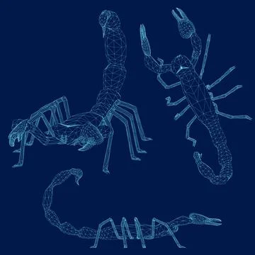 Set Graphic wireframe scorpion isolated on blue background, vector illustration. Stock Illustration