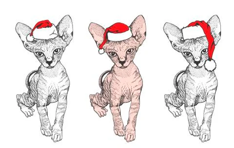 Set graphical cat sphinxs in Santa Claus hat isolated on white background, ve Stock Illustration