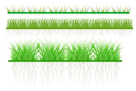 Set grass isolated on white background. Green grass. Stock Illustration
