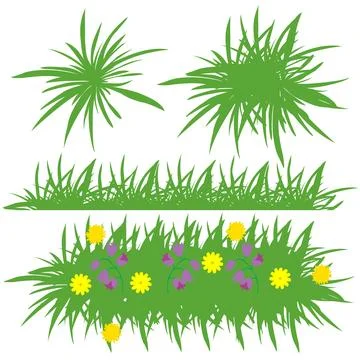 Set of grass on white background Stock Illustration