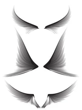 Set gray wings #1 Stock Illustration