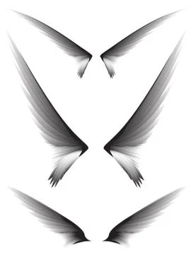 Set gray wings #2 Stock Illustration