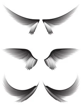 Set gray wings #3 Stock Illustration