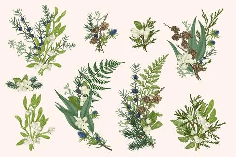 Set with green bouquets. 库存插图