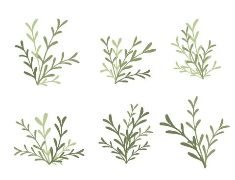 Set of green branches with leaves flat vector illustration on white background Stock Illustration