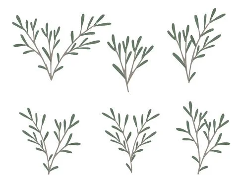 Set of green branches with leaves flat vector illustration on white background Stock Illustration