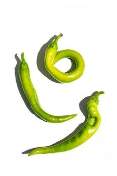 Set of green chilli pepper on white. Organic, home growing chili peppers. Stock Photos