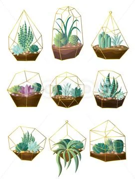Set of green colorful succulent plant pot for home decoration Stock Illustration