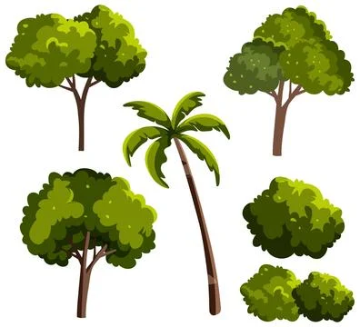 Set of Green Deciduous Trees Palm Tree and Garden Bushes Vector Stock Illustration