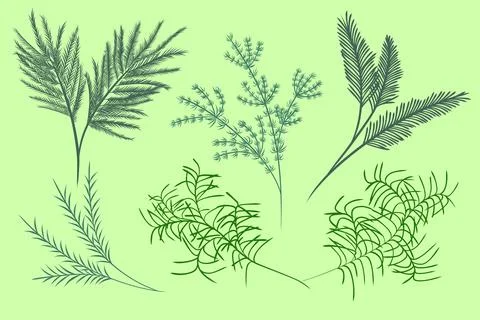 Set of green decorative twigs for design Stock Illustration