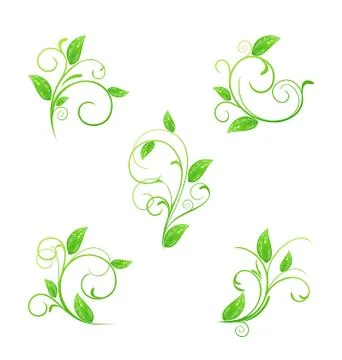 Set green floral elements with eco leaves isolated Illustrazione stock