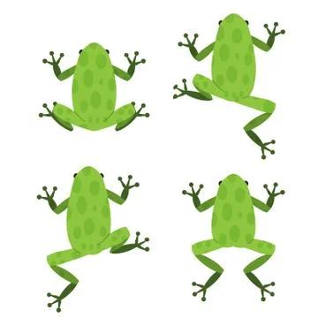 Set of green frog in flat style with pattern Stock Illustration
