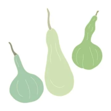 Set with green gourds or squashes. Stock Illustration
