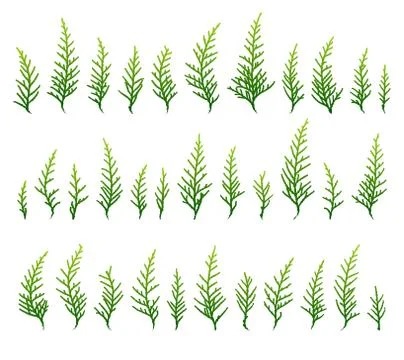 Set of green grass background Stock Illustration