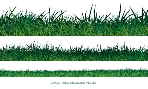 Set of green grass border seamless on white background vector Stock Illustration
