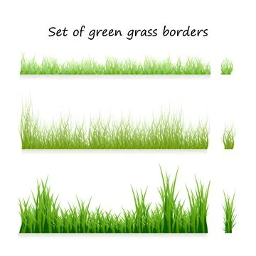 Set of green grass borders, isolated on white background. Vector fresh spring Stock Illustration
