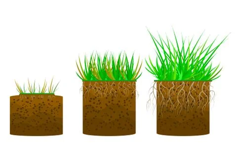 Set of green grass with a ground isolated on white background. Stock Illustration