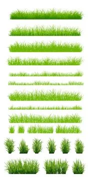 Set of Green Grass Isolated Stock Illustration