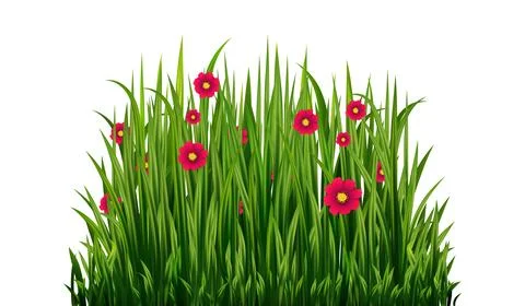 Set of Green Grass Isolated 스톡 일러스트