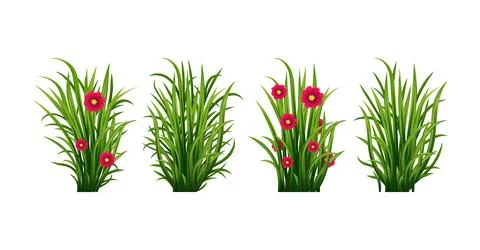 Set of Green Grass Isolated 스톡 일러스트