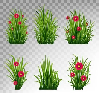 Set of Green Grass Isolated Stock Illustration