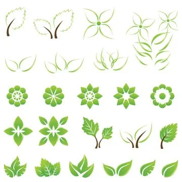 Set of green leaf and flower design elements イラスト素材