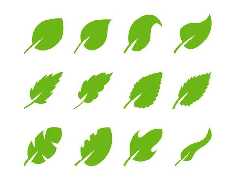 Set of green leaf of different design on white backgrund. Stock Illustration