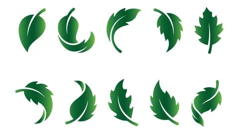 Set of green leaf icons, various shapes and styles, vector illustrations is.. Stock Illustration