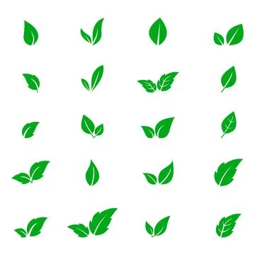 Set of green leaf icons on white background. vector illustration 스톡 일러스트