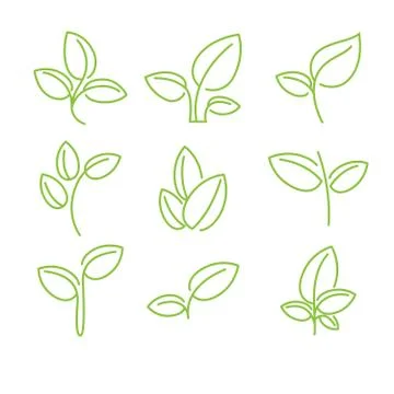 Set of green leaves design elements Stock Illustration
