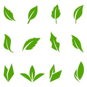Set of green leaves design elements. Stock Illustration
