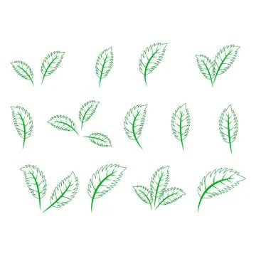 Set of green leaves design elements. Green sprout green leaves symbol icon se Illustrazione stock