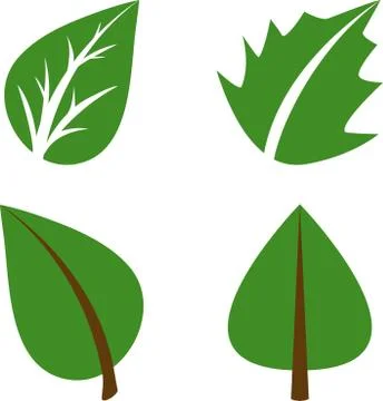 Set of green leaves design elements. This image is a vector illustration. Stock Illustration