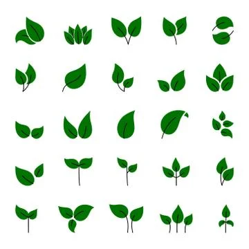 Set of green leaves design elements. This image is a vector illustration イラスト素材