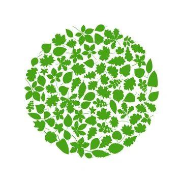 Set of green leaves design elements. This image is a vector illustration Stock Illustration