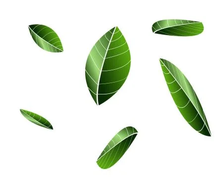 Set of green leaves design elements Stock Photos