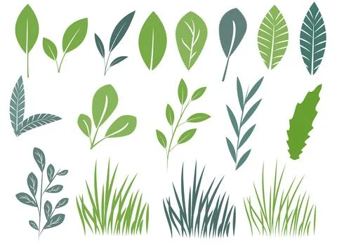 Set of green leaves, tree branches and grass Stock Illustration