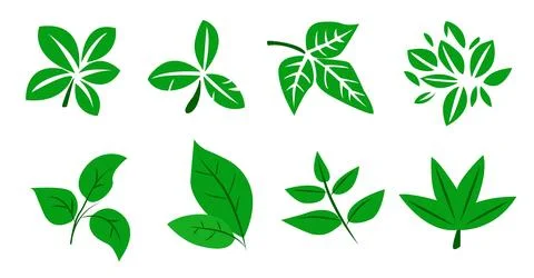 A set of green leaves on a white background, for logos, designs, for the Stock Illustration
