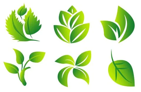 A set of green leaves on a white background, for logos, designs, for the Stock Illustration