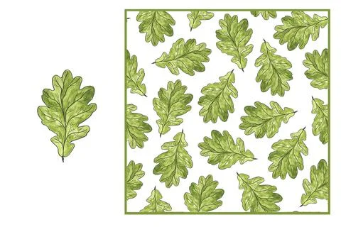 Set - green oak leaf isolate and seamless pattern of abstractly arranged leav イラスト素材
