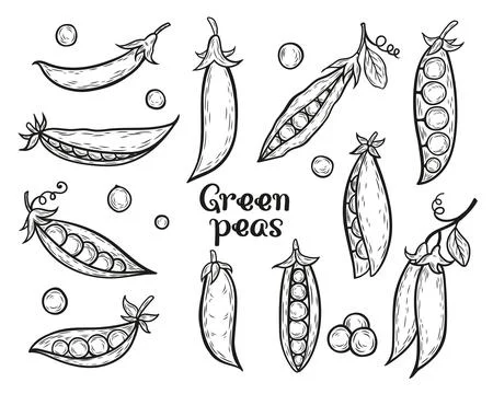 Set with green peas Stock Illustration