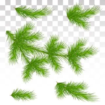Set of green pine branches. Isolated. Christmas. Decor. The Christmas tree. V Stock Illustration