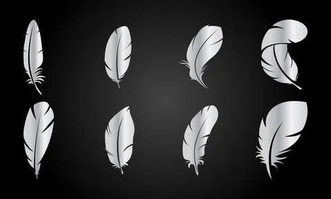 Set of grey feather in black background Stockillustratie