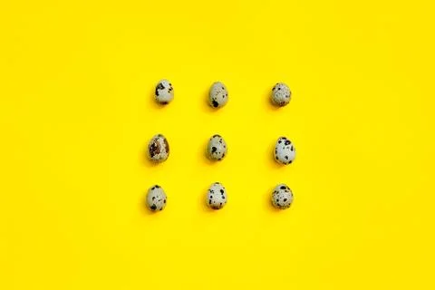 Set of group quail eggs in a row on a yellow background. Fotos Stock