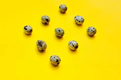 Set of group quail eggs in a row on a yellow background. Stockfoto's