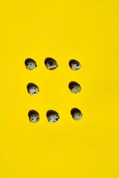 Set of group quail eggs in a row on a yellow background. Stock Photos