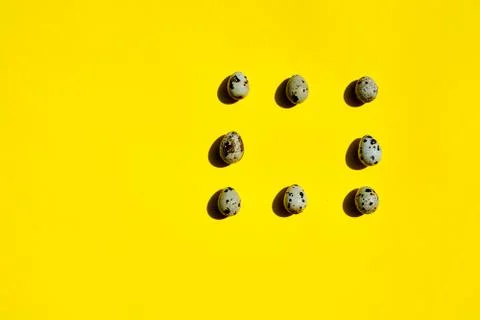 Set of group quail eggs in a row on a yellow background. Stock-Fotos