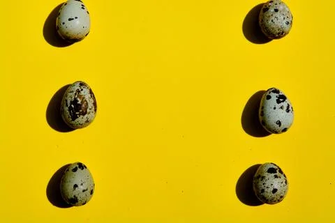 Set of group quail eggs in a row on a yellow background. Stock Photos