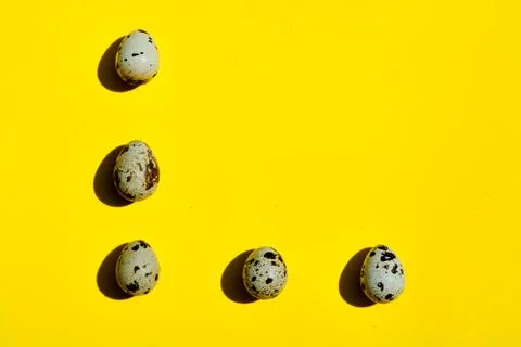 Set of group quail eggs in a row on a yellow background. Stock Photos